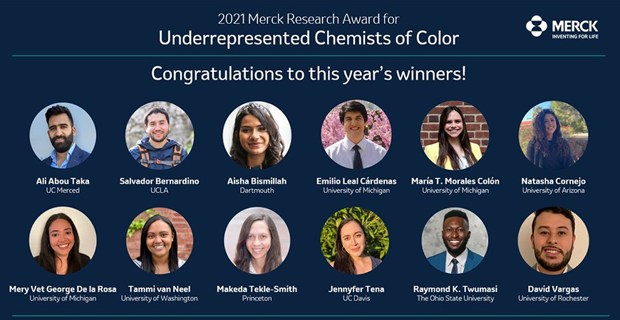 Graduate student Ali Abou Taka is one of 12 students to receive the inaugural Merck Research Award for Underrepresented Chemists of Color.
