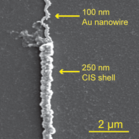 SEM of an Au/CIS core-shell nanowire