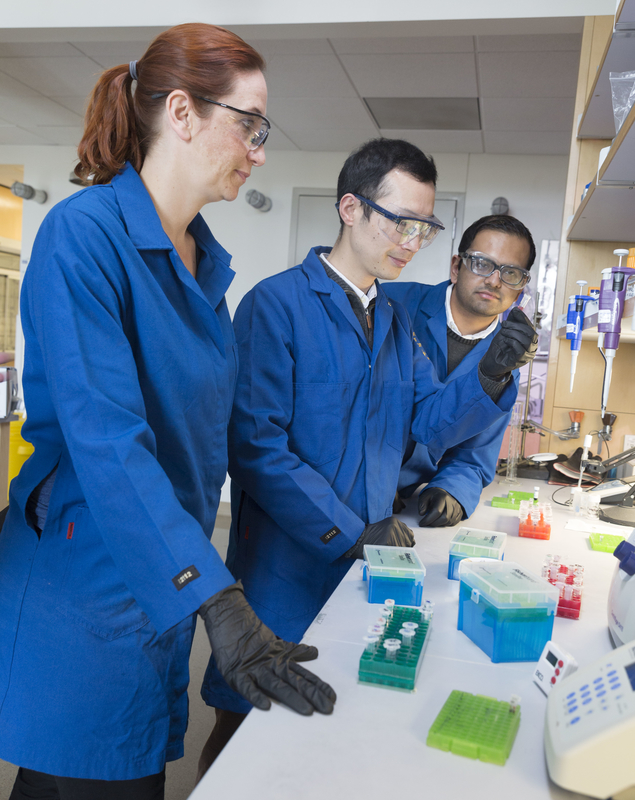 Chemistry faculty and graduate students in lab